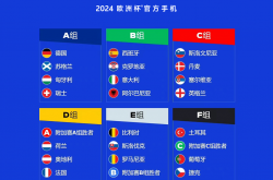 竞猜欧洲杯需考虑赛程难度_新闻台_中国网络电视台